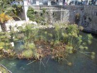 DSCN5721.JPG