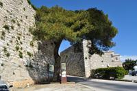 Erice