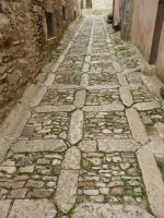 Erice