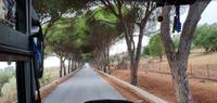 Fahrt zum Tal der Tempel in Agrigent