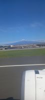 Flug nach Hause
