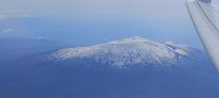 Flug nach Hause