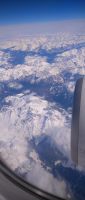 Flug nach Hause