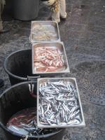 Frischfisch
