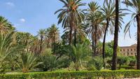 Garten am Normannenpalast