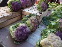 Gemüsemarkt von Catania,eine Augenweide