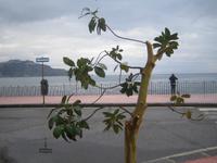 Giardini Naxos