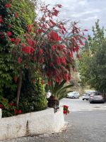 Hotel Olimpio (1)