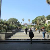 IMG_0083
