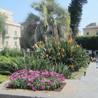 IMG_0085
