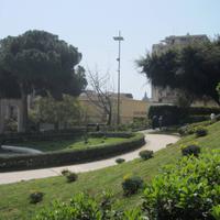 IMG_0089