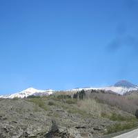 IMG_0137