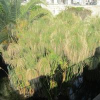 IMG_0184