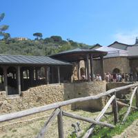 IMG_0194