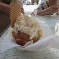 IMG_0419