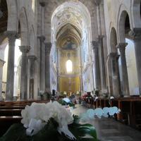 IMG_0448