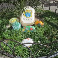 IMG_0450