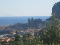 IMG_4736