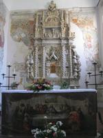 IMG_7036