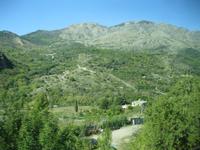 IMG_7049