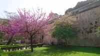 Im Garten des Kaiserpalastes in Palermo