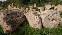 In Selinunte