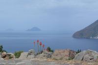 Lipari - Inselrundfahrt , Inseln Salina, Alicudi, Filicudi