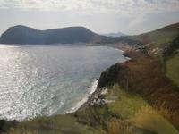 Liparis Küste 