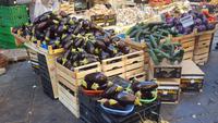 Markt Catania