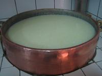 Molkegefäß