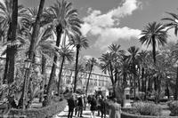 Palermo