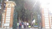 Parkanlage in Taormina