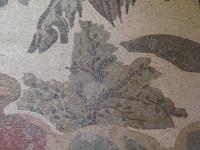 Pflanzenmosaik 