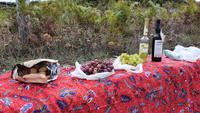 Picknickpause