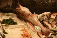Riesenfisch