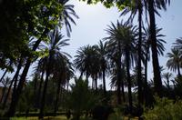Rundgang Palermo