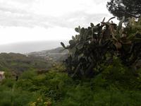 Rundgang in Savoca