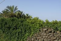 Santa_Tecla (3)