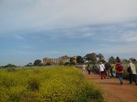 Selinunte