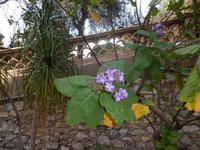 Sizilien 2014 074