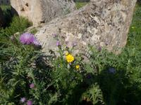 Sizilien 2014 152