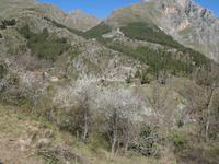 Sizilien 2014 260