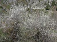 Sizilien 2014 261