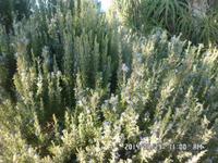 Sizilien September 2014 136