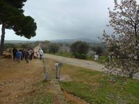 Sizilien, Agrigent, Tal der Tempel 