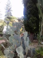 Stadtpark Taorminas