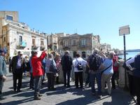 Syrakus (Altstadt Ortigia - Arethusa-Quelle)