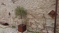 Szeinwand, Metallbank, Olivenbaum in Montalbano Elicona