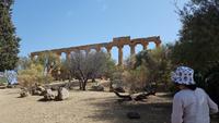 Tal der Tempel Agrigent 20180904 154745