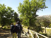 Tal der Tempel